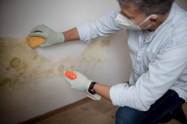 Best Water Damage & Mold Remediation  in Sharon, MS